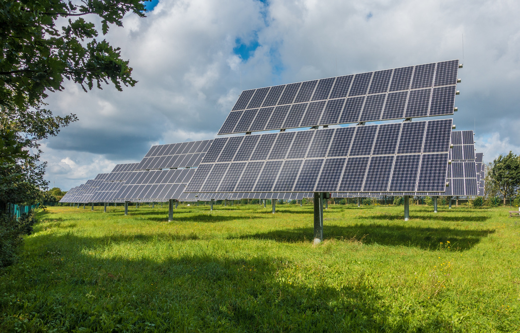 Solar Panels on the Meadow